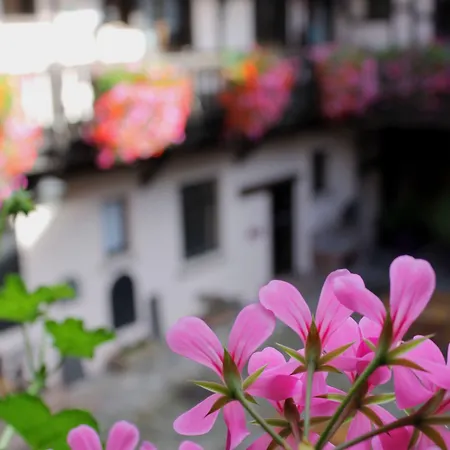 Le Gouverneur 3* Obernai