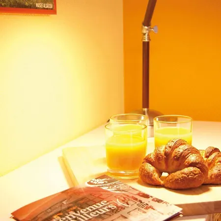 Hotel Le Gouverneur 3*