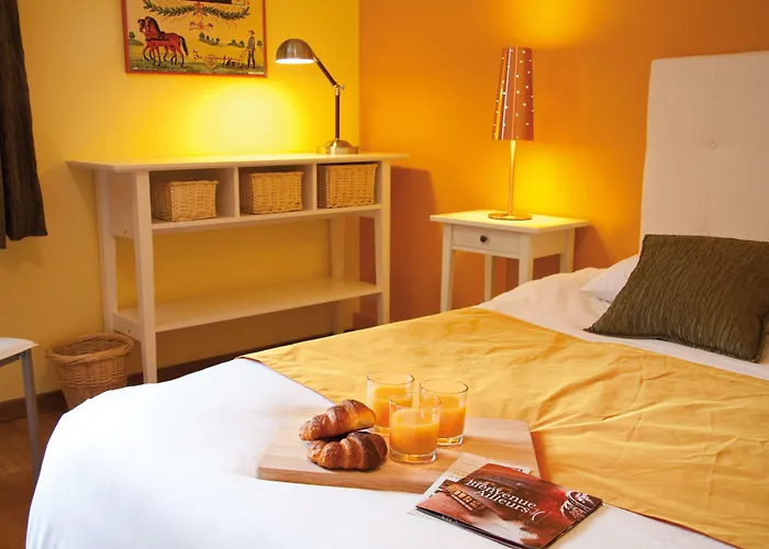 Le Gouverneur 3* Obernai