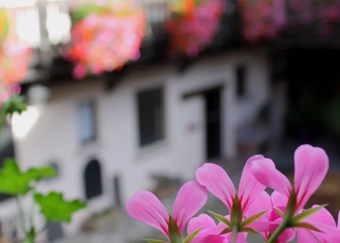 Le Gouverneur 3* Obernai